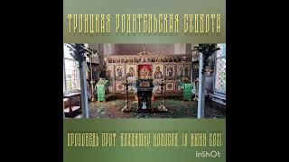 ПРОПОВЕДЬ  Троицкая родительская суббота, прот.  Владимир Колосов, 19 июня 2021