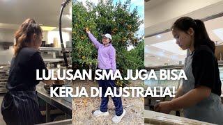 LULUSAN SMA DAN USIA DIATAS 30 TAHUN JUGA BISA KERJA DI AUSTRALIA!