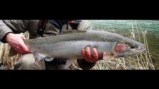 Catching More Steelhead Episode 1 - Fundamentals Of Spey Casting