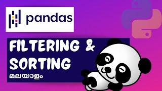 Pandas Part 3 : Filtering and Sorting