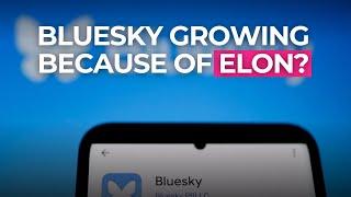 Is Elon Musk's Politics Pushing People to Join Bluesky?