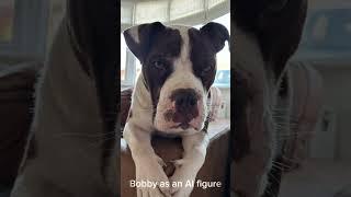 Bobby as an AI figure… #foryou #fypシ #feedshorts #trending #funny #tiktok #dogs #viral #AI