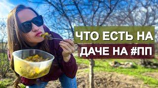 ПП ЕДА НА ДАЧЕ, СОВЕТЫ НУТРИЦИОЛОГА | ОТКРЫВАЕМ ДАЧНЫЙ СЕЗОН | ДАЧНЫЙ ВЛОГ