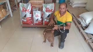 NOVA RACAO PREMIUM ALL DOG