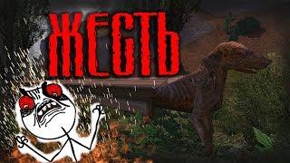 Классика моддинга S.T.A.L.K.E.R. Жесть