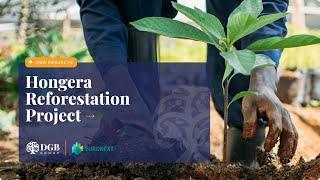 The Hongera Reforestation Project (Kenya)