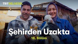 Şehirden Uzakta | Bolu - Fırınlık Köyü | TRT Belgesel