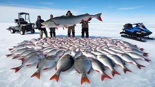 Insane Ways to Hook Massive Fish in the Deep Ice — You Have to See This!