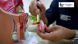 Male reproductive system in hindi by Dr. Chirag Bhandari | Male Biology