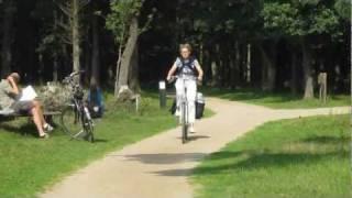 Cycling through the heath (Hilversum, Netherlands) [152]