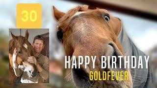 Happy Birthday Goldfever  | 30 Jahre alt  | Madeleine Winter-Schulze gratuliert!