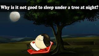 Respiration - Why is it not good to sleep under a tree at night? | #aumsum #kids #science