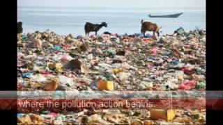 Land pollution (causes/ effects/ solutions)