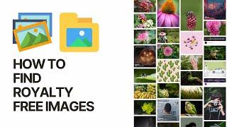 How to Find Royalty Free Images for Your Blog or Social Media Posts?  Stock Photos