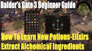 Baldur's Gate 3, Beginner Guide, How To Learn New Potions-Elixirs, Extract Alchemical Ingredients