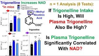 Plasma Trigonelline: A Mediator For Dietary Trigonelline To Increase NAD? (8-Test Analysis)
