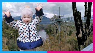 Tahune Forest Airwalk Adventures | Tasmania, Australia | YouTube kids videos for kids