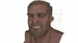 Advanced Skeleton Face  Rig