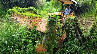 Good Skill Dozer to Clear land and pushing soil to create a road