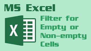 MS Excel - How to filter for empty cells or non-empty cells
