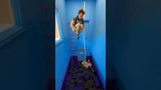 Dad builds Foam Pit Jump! 