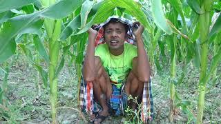 ভুট্রা ক্ষেতে হাতেনাতে ধরা I Must Watch New Funny Video।Cine Target