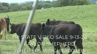 TRI STATE VIDEO SALE 9-13-24 AT 1PM