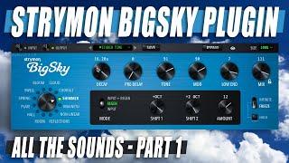 STRYMON BigSky Reverb Plugin // ALL THE SOUNDS || Part 1 [NO TALK / ONLY TONES]