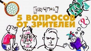 5 вопросов от зрителей - Научпок