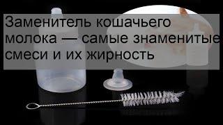 Заменитель кошачьего молока — самые знаменитые смеси и их жирность