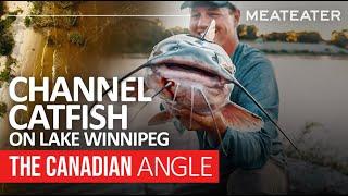 Channel Catfish on Lake Winnipeg | The Canadian Angle