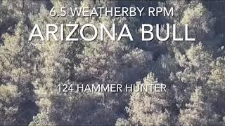 6.5 Weatherby RPM • Arizona Bull • 124 Hammer Hunter