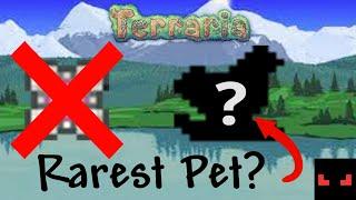 Top 5 Rarest Terraria Items PETS EDITION