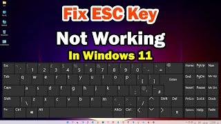 How to fix ESC Key Not Working In Windows 11