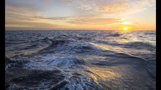 Сколько океанов на Земле?