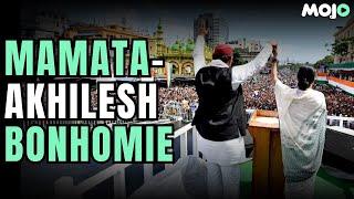 "BJP Ka Sarkar Girne Wali Hain" | Mamata Echoes Akhilesh Yadav During TMC's 'Shahid Diwas' Rally