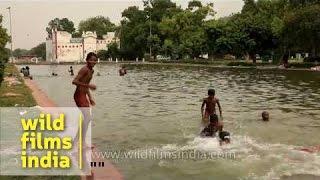 Young boys swim and perform for the camera, Delhi