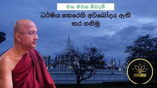 ධර්මය කෙරෙහි අවබෝදය ඇති කර ගනිමු - සිත නිවන ඕවදම්