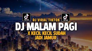 DJ OLD KECIL KECIL SUDAH JADI JAMUR X MALAM PAGI || VIRAL TIKTOK TERBARU - DJ SANTUY