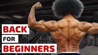 Back Workout for Beginners