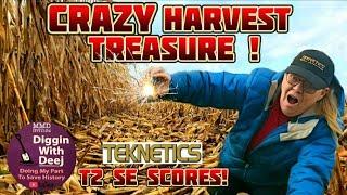 Harvest Reveals Treasure Metal Detecting 2023 #buriedtreasure #metaldetecting