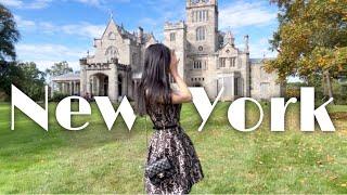 vlog New York house with beautiful yard and making birthday cake