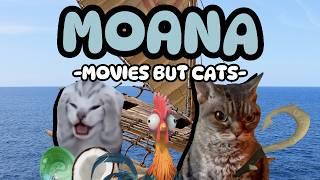 CAT MEME MOVIE: MOANA FULL MOVIE RECAP