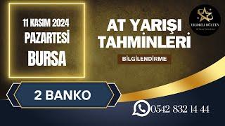 11 Kasım 2024 Pazartesi BURSA At Yarışı Tahminleri