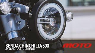 Benda Chinchilla 300 - лучше, чем Sportster Iron 883 Обзор и тест от Дениса Панфёрова