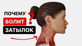 Почему болит шея в области затылка. Почему болит голова из-за косой мышцы головы?