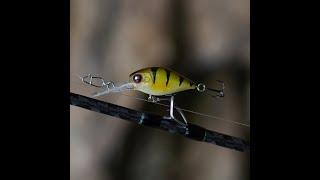 Aliexpress- BassLegend Fishing Floating Crankbait Diving Chubby Bass Pike Lure 38F Actoin Review