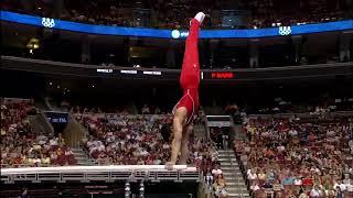 USA gymnast Raj Bhavsar on Parallel  l Gymnast within you.