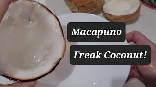 Macapuno | Freak Coconut | Macapuno Jam