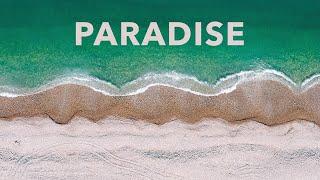 Markvard - Paradise